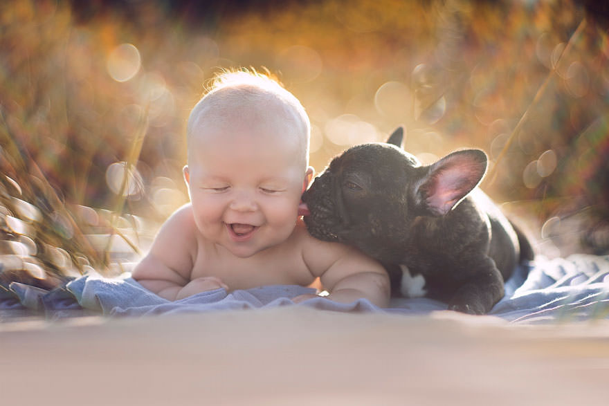 Bébé et animaux